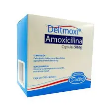 [2510965] AMOXICILINA DELTMOXI X 1 TIRA X 10 UND X 500 MG