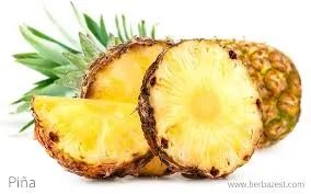 [8153747] PIÑA X KG