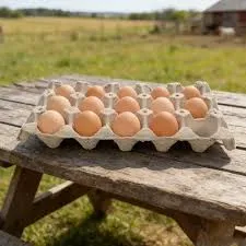 [5262165] HUEVOS B  X BULTO X 10 CARTONES X 30 UNI