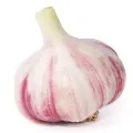 [5949476] AJO X  CAJA  X 10 KG