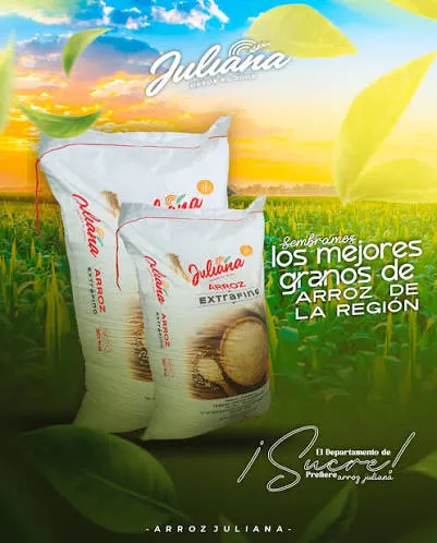 [9388321] ARROZ  JULIANA EXTRAFINO BULTO X 25 KG