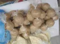 [8429086] BOLAS DE CACAO