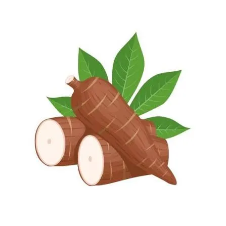 [3639] YUCA X  KG