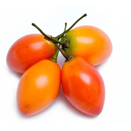 [0011] TOMATE ARBOL X UND