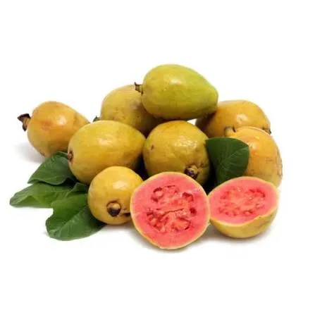[3611] GUAYABA DULCE X KG