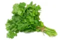 [3609] CILANTRO X MASO X 1 KG