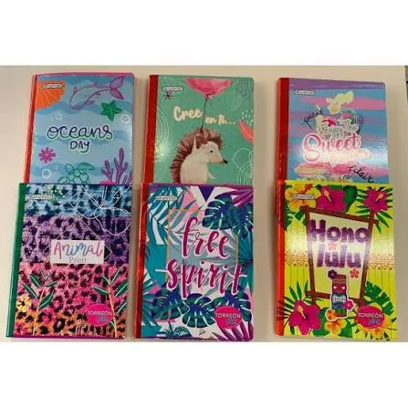 [7702111510807] LIBRETA NORMA DE 100 HOJAS