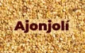 [1101] AJONJOLI  X KG